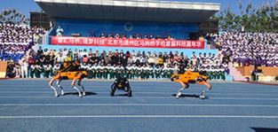 凌天攜帶四足機(jī)器狗、偵檢無(wú)人機(jī)等高精尖裝備走進(jìn)校園，助力北京通州市馬駒橋?qū)W校首屆科技嘉年華